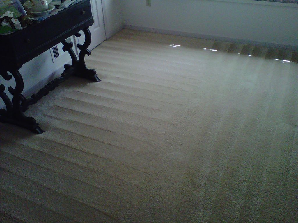 Roto-Vac cleans another customers carpet up good a