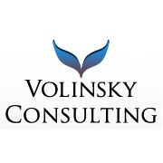 Volinsky Consulting
