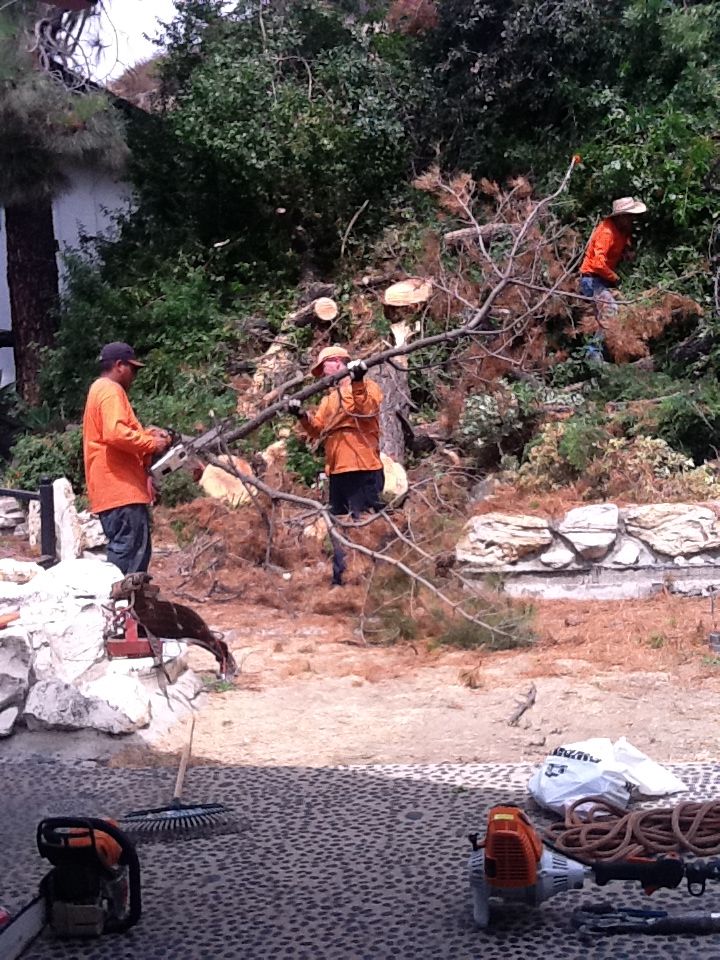 my workers working hard to get the job done for yo