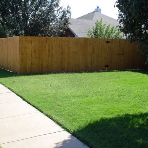 Whitewood fence with cedar stain