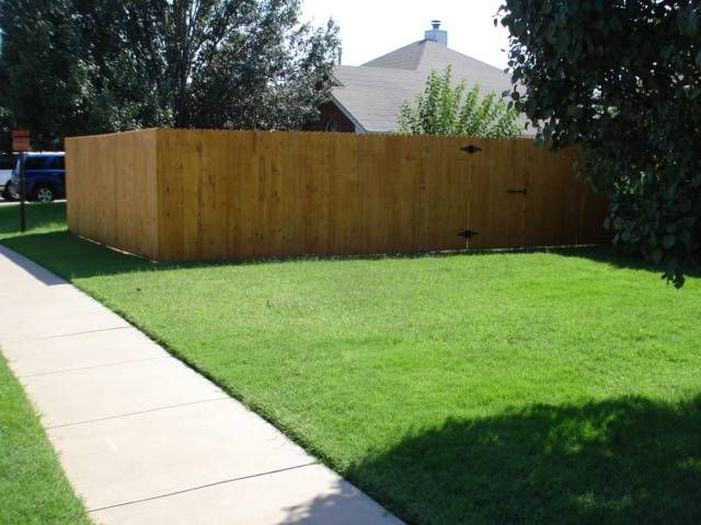 Whitewood fence with cedar stain