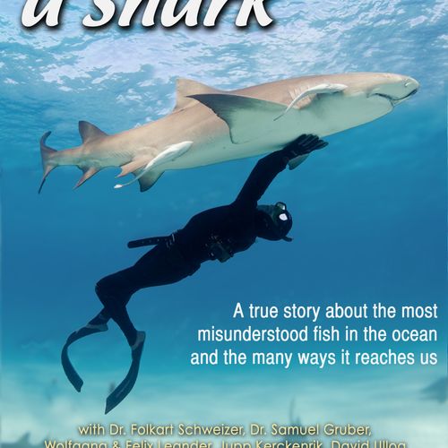 Touched by a Shark - Documentary