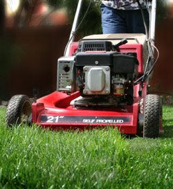 Bob's Lawn & Landscape Maintenance