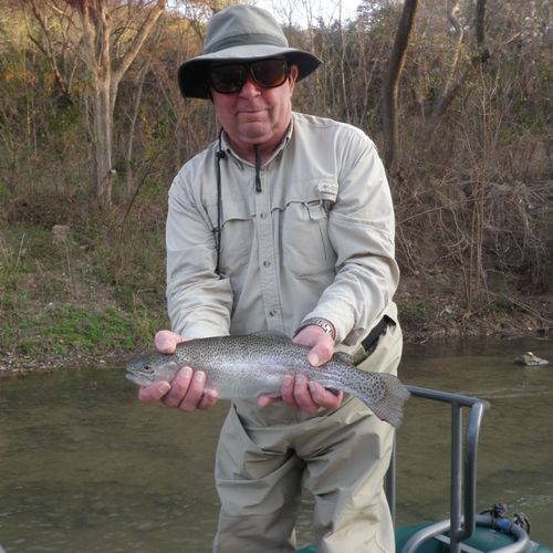 Guadalupe River Rainbow Trout
