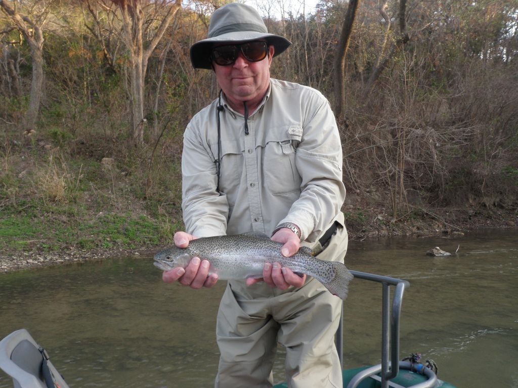 Guadalupe River Rainbow Trout
