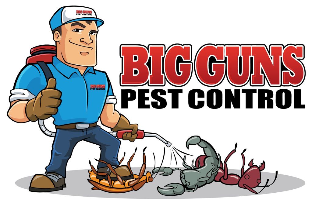 Big Guns Pest Control