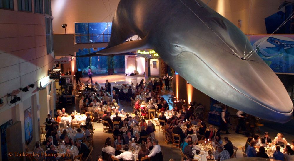 Corporate/Events