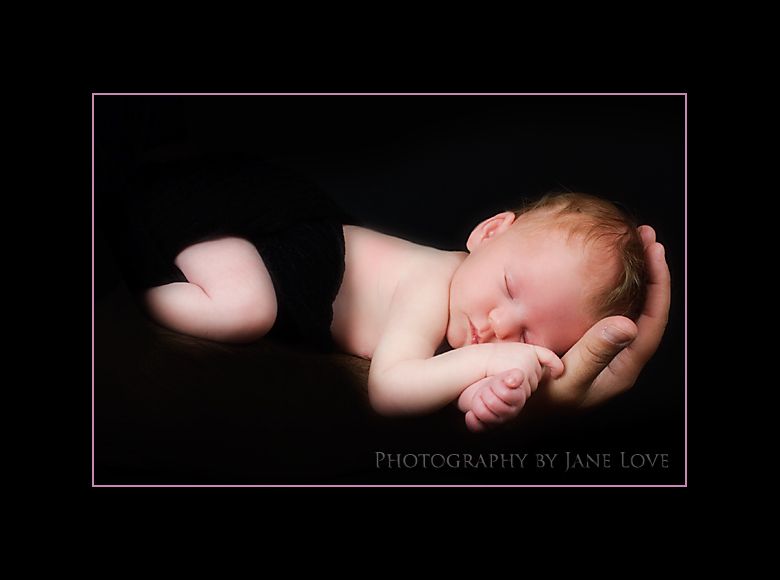 Newborn Portrait
