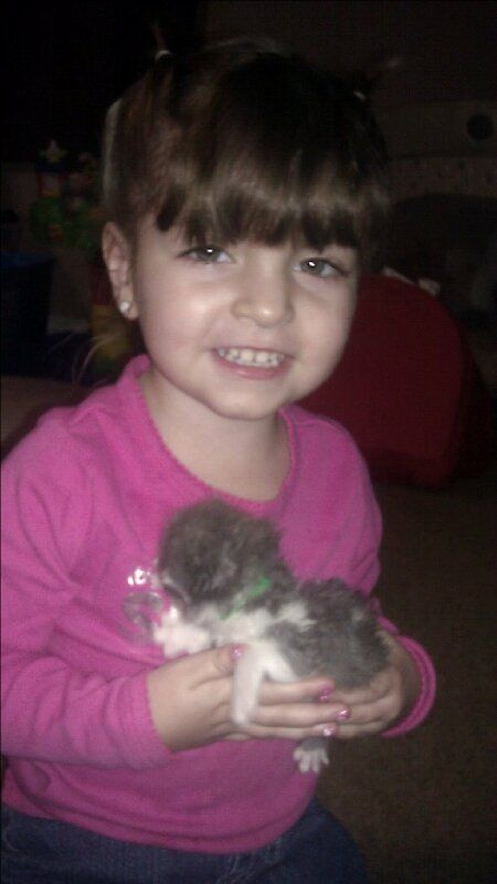 My oldest daughter with one of the bottle fed kitt