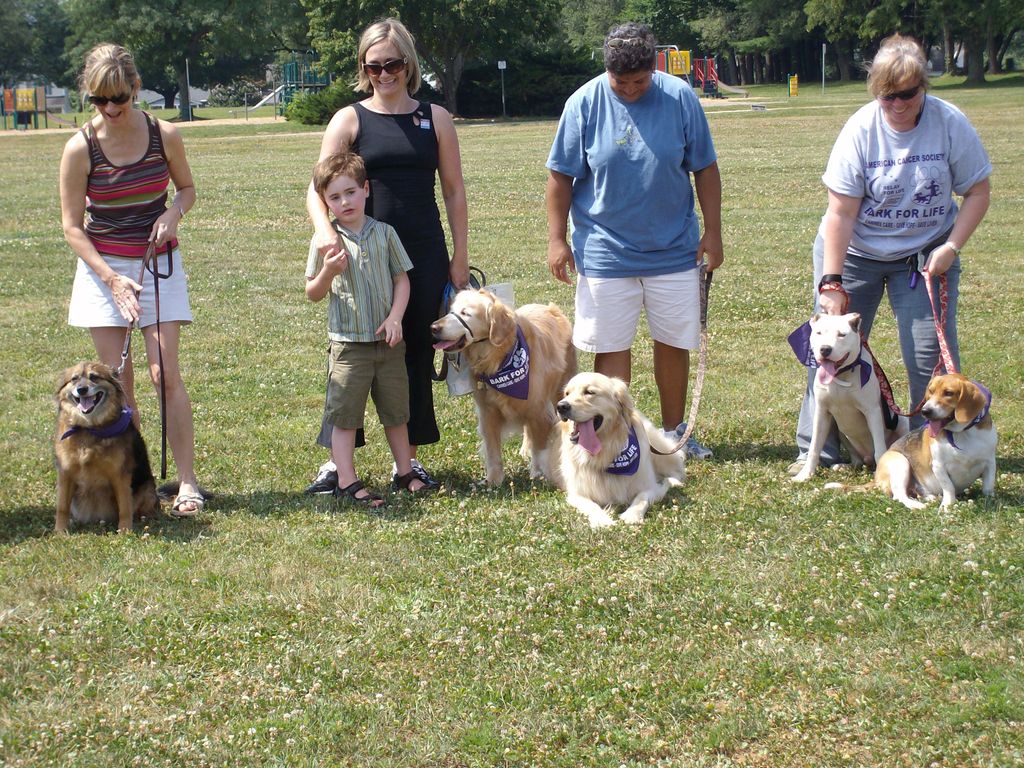 Bark For Life