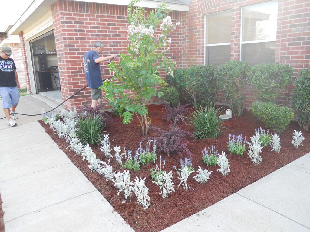 landscape installation