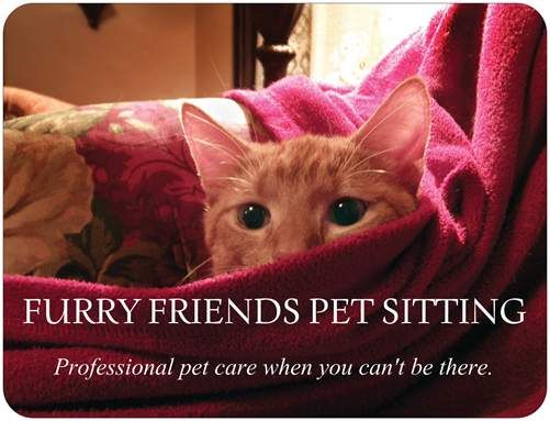 Furry Friends Pet Sitting, LLC