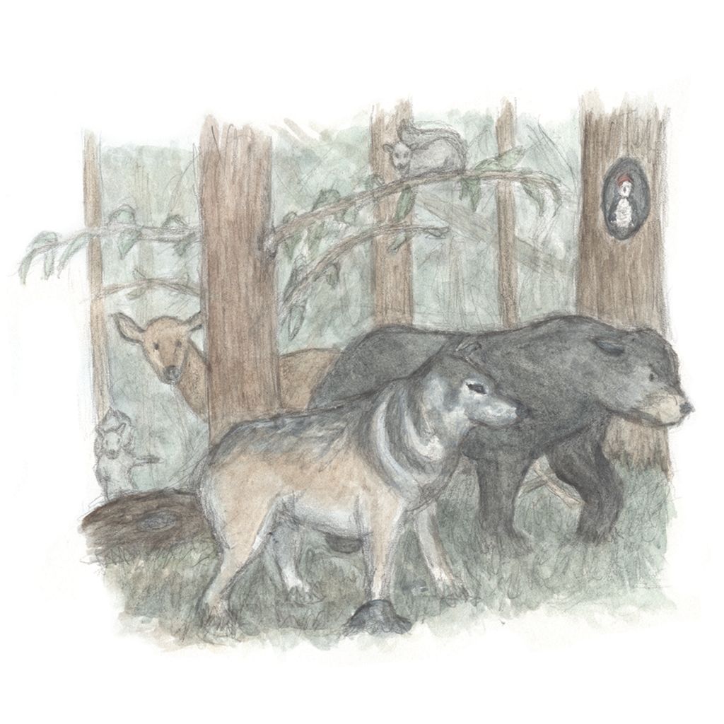 Children's Book Illustration Sample