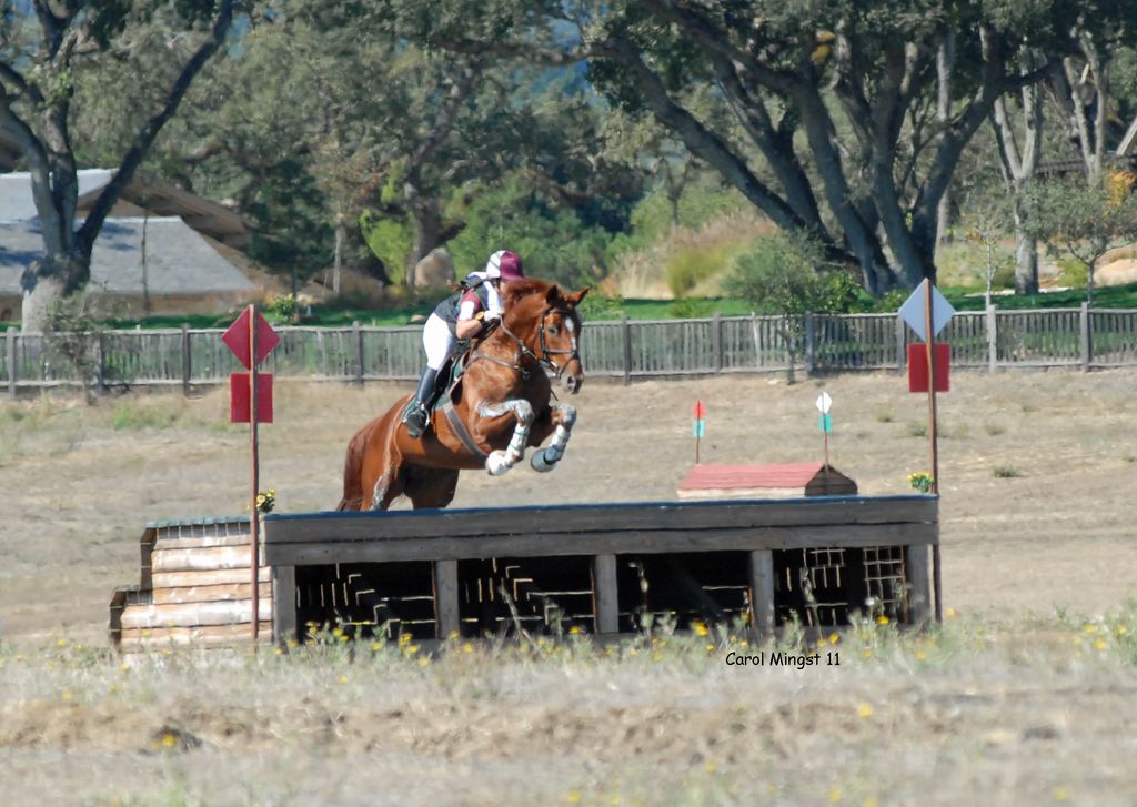Dana and Archie jumping a HUGE table on the Woodsi