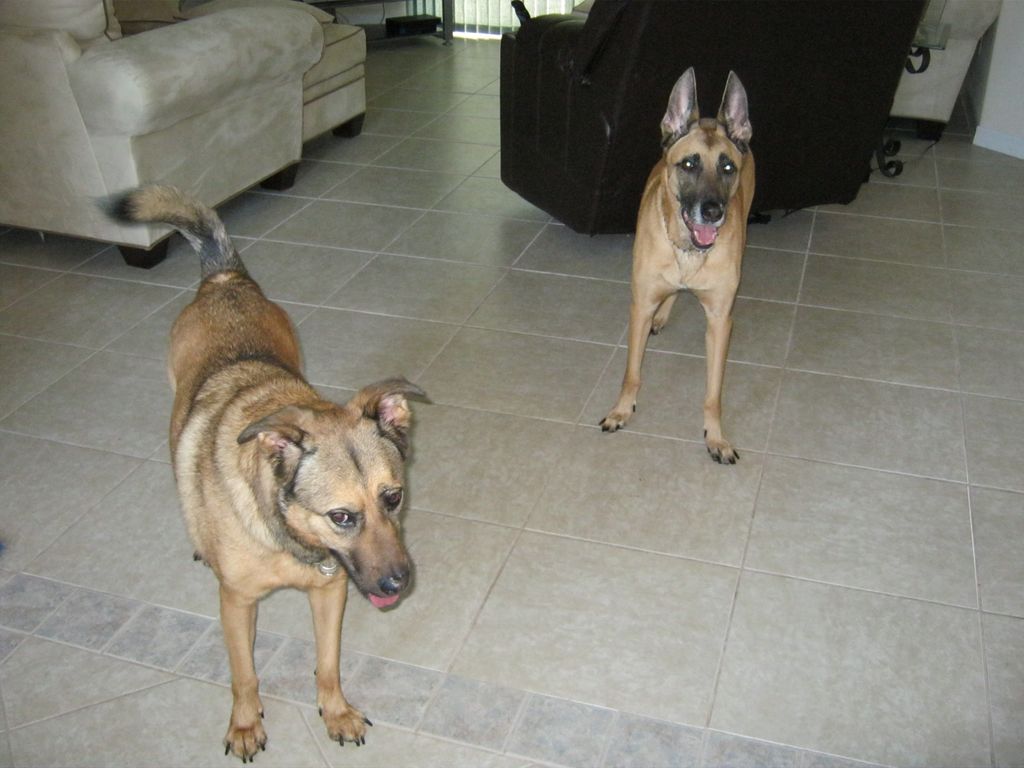 Nyobi & Holly