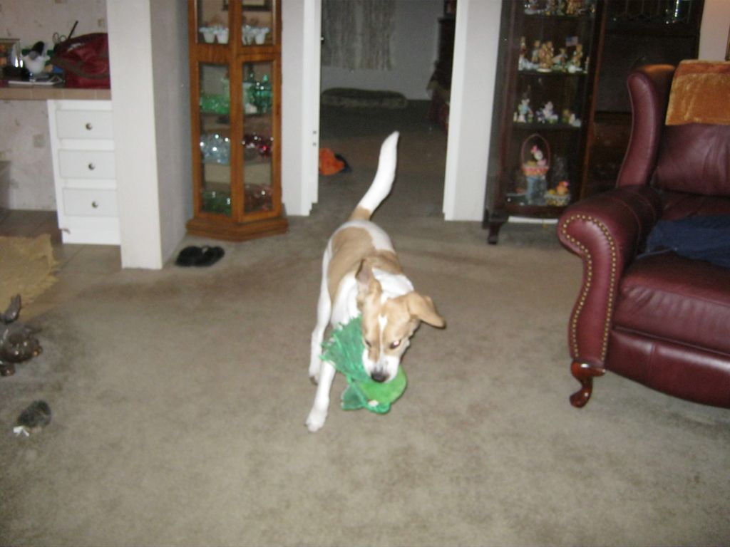 Rusty playing