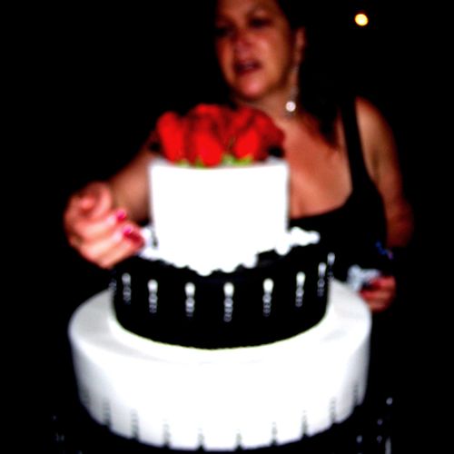 Light the Wedding Cake Splendid Feast