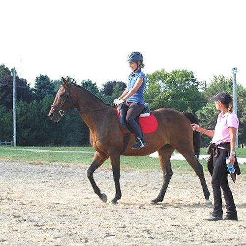 One of the favorite school horses Ali O My.