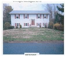 BEFORE-A GRUB (INSECT) DAMAGED LAWN