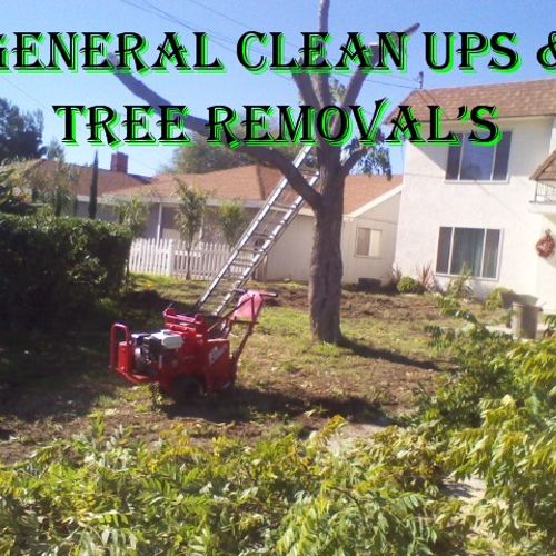 We can trim your trees or completely remove them.