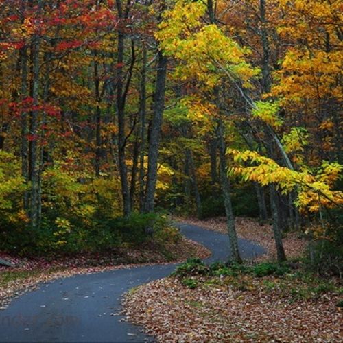Scenic Fall Foliage, West Virginia