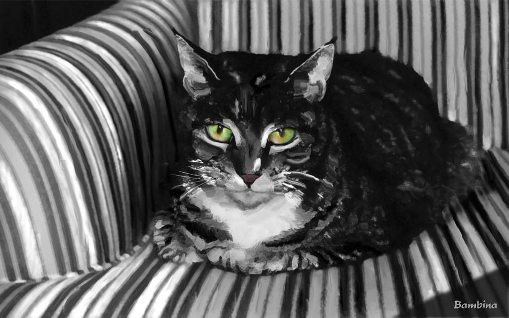 Bambina - A b&w filter applied in photoshop, the c
