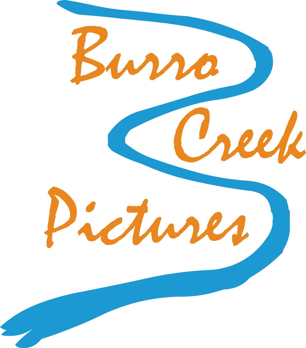 Burro Creek Pictures LLC