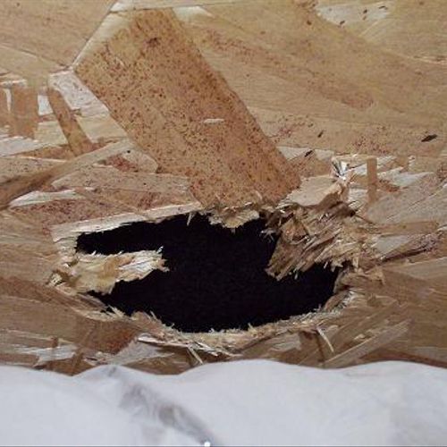 Hidden damage to roof sheathing observed in attic;
