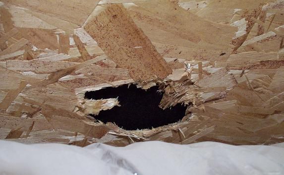 Hidden damage to roof sheathing observed in attic;