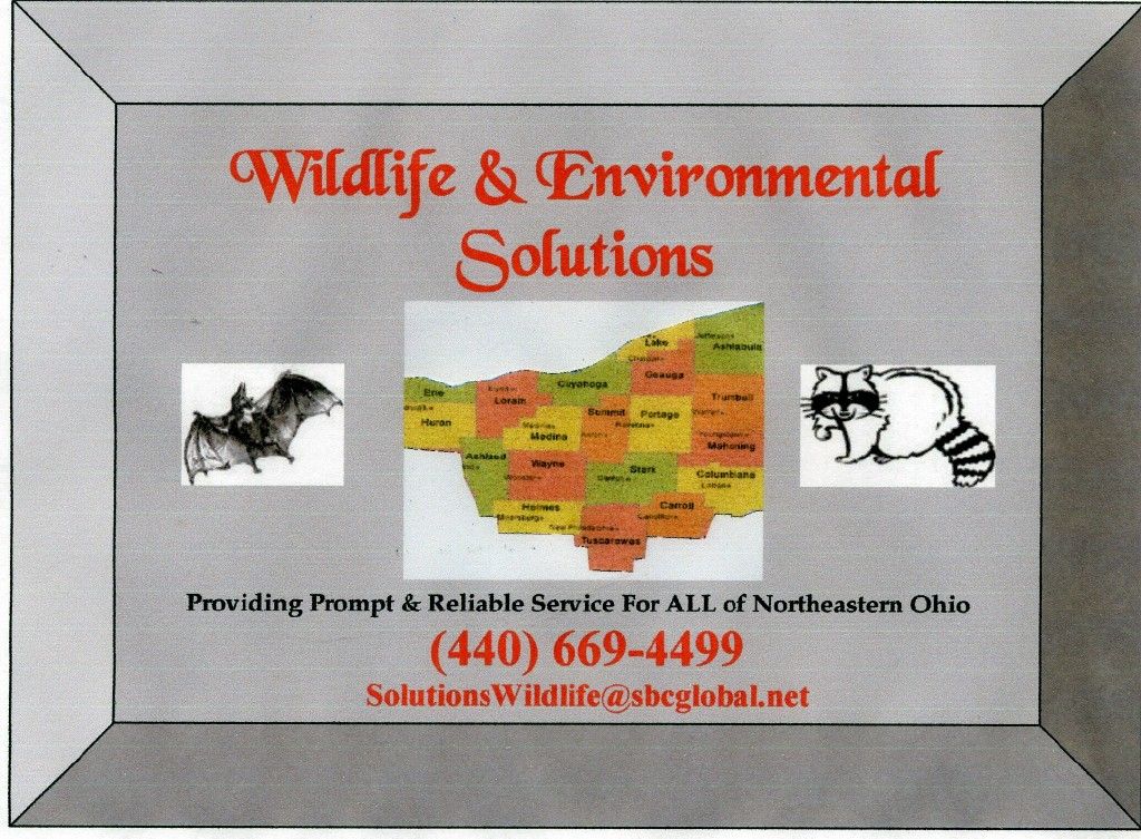 Wildlife & Environmental Solutions