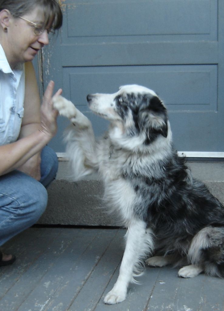 High 5!