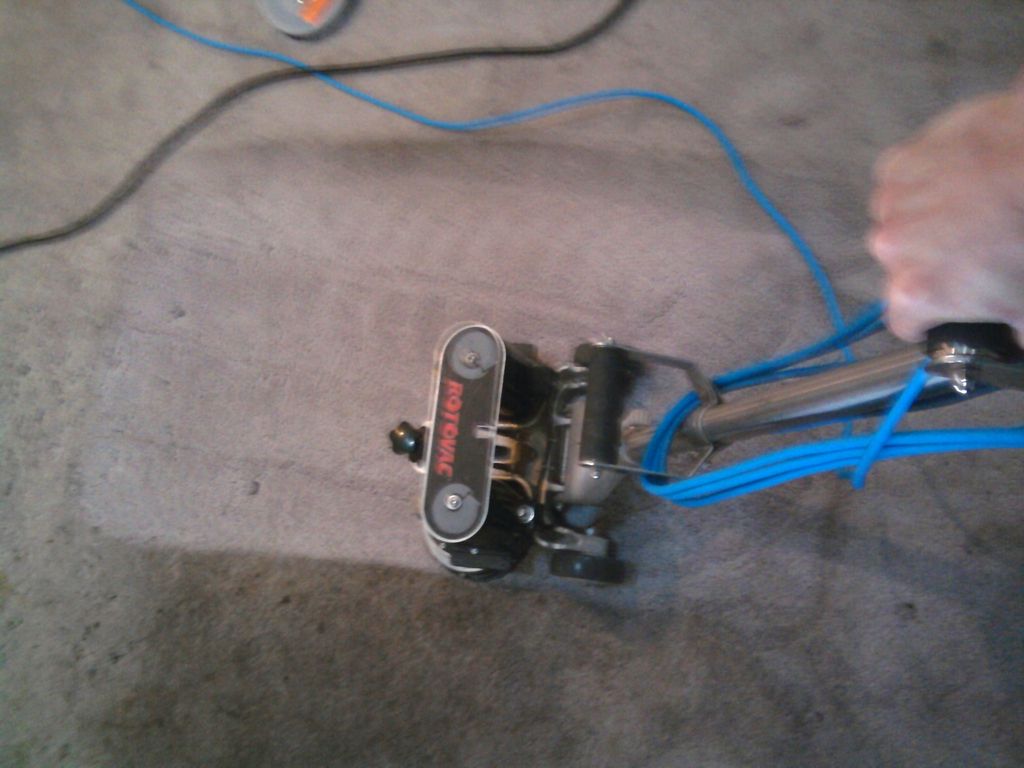 Carpet Cleaning Lacey