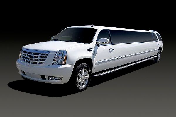VIP Limousine, Inc.