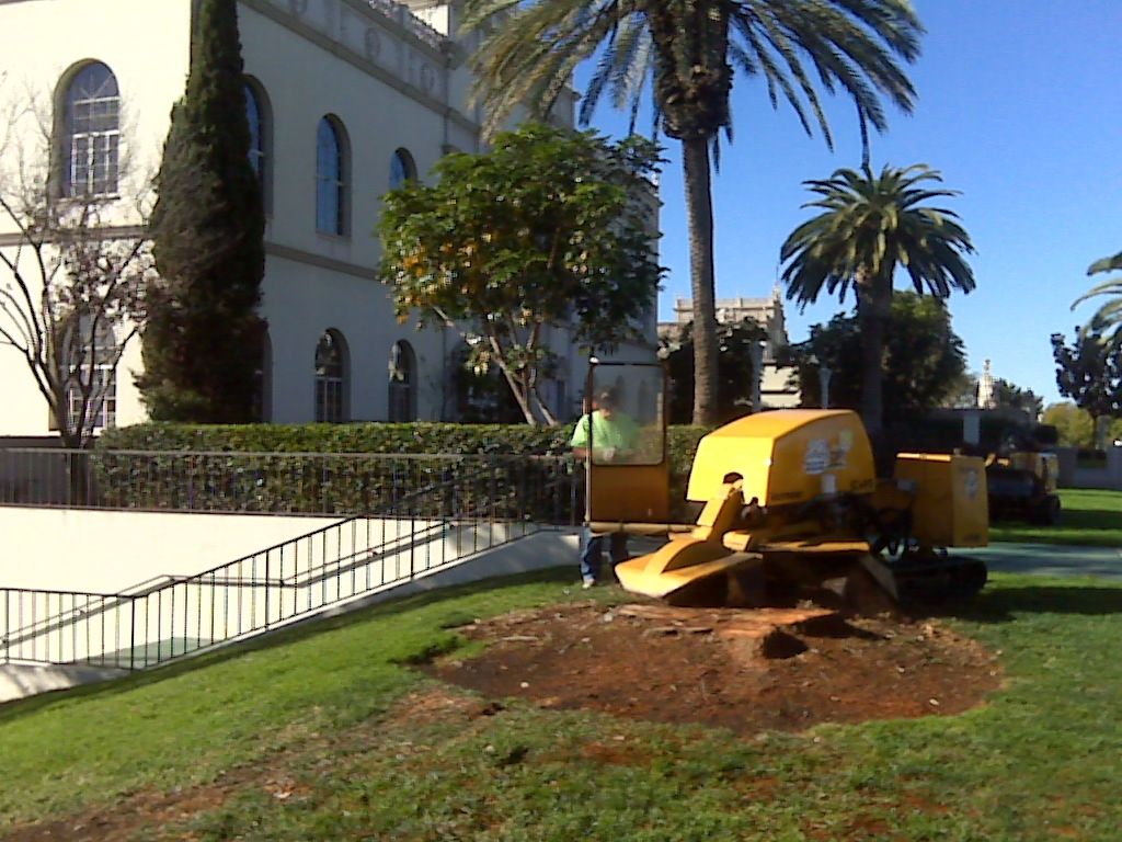 Our large rubber tracked unit grinding the largest