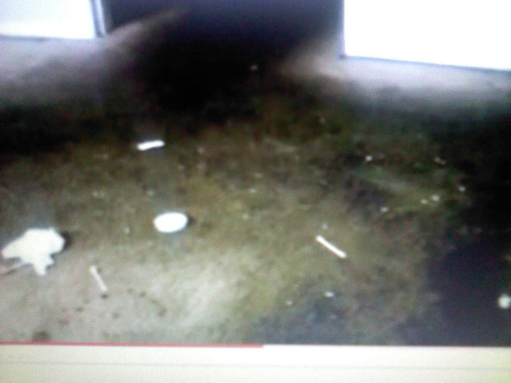 filthy apt before ROTOVAC 360