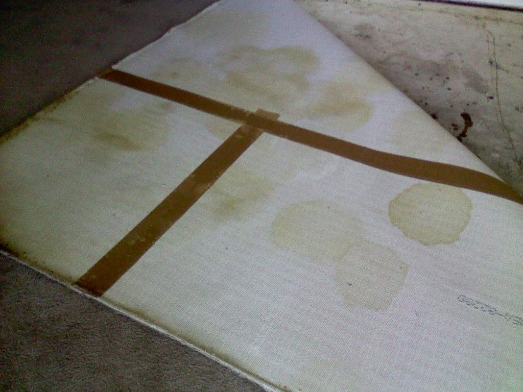 cat urine cleanup and reinstalation of new pad