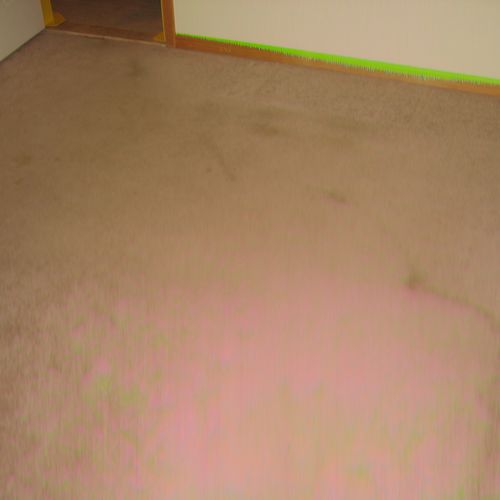 Carpet Cleaning - BEFORE!