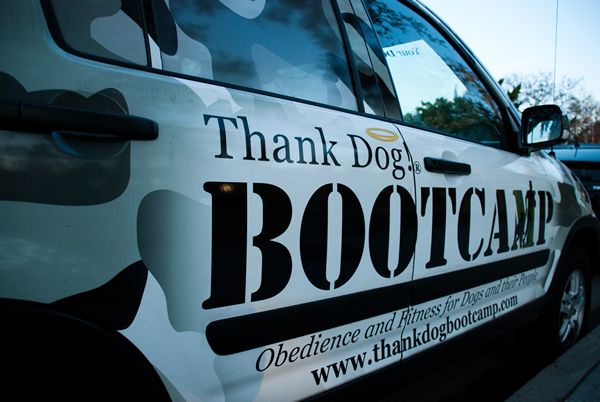 The Bootcamp mobile.
