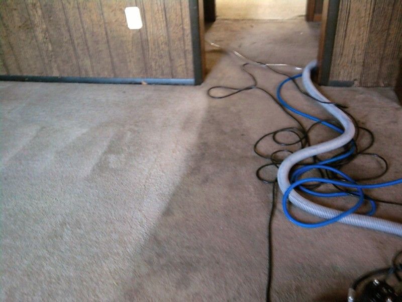PAO Carpet Cleaners L.L.C