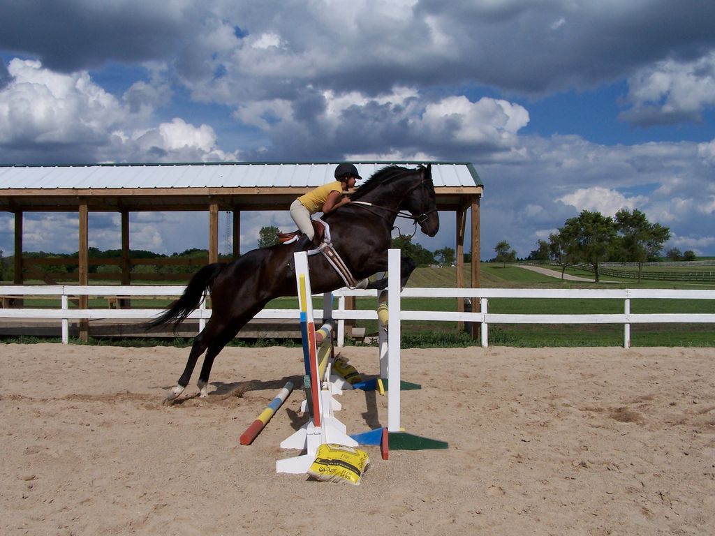 Lesson in one of the outdoor arenas