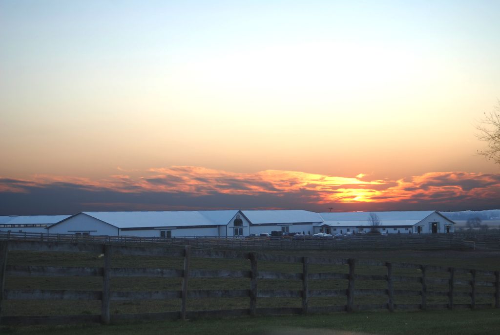 Beautiful Sunsets!