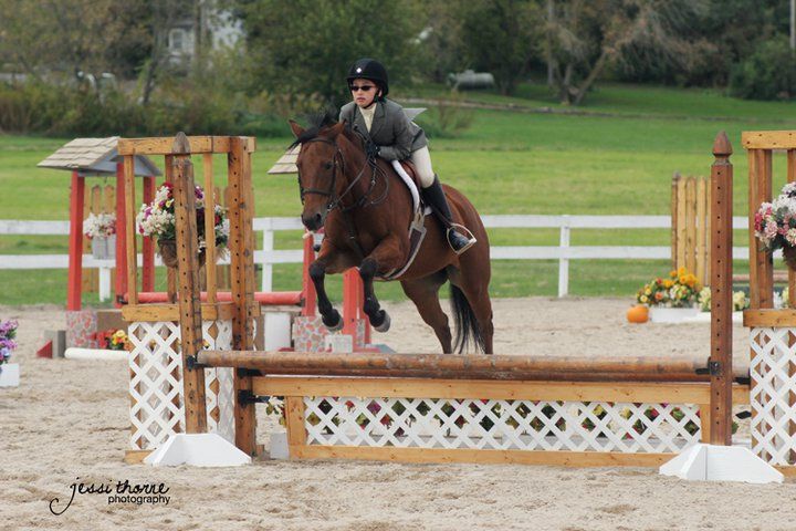 2010 ISC show
