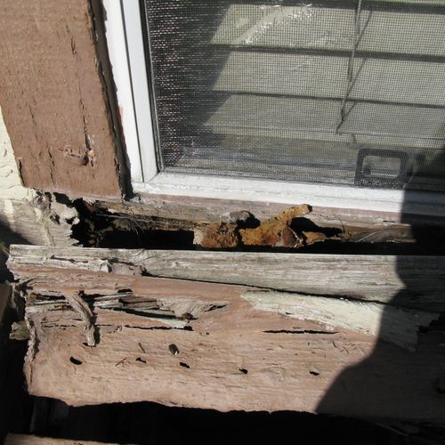 Dry  rot damage and subterranian termite infestati
