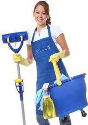 Vaist Cleaning Services