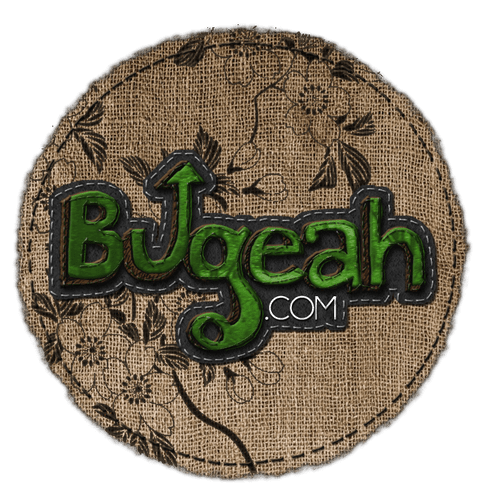 This was an elaboration on the logo for Bugeah.com