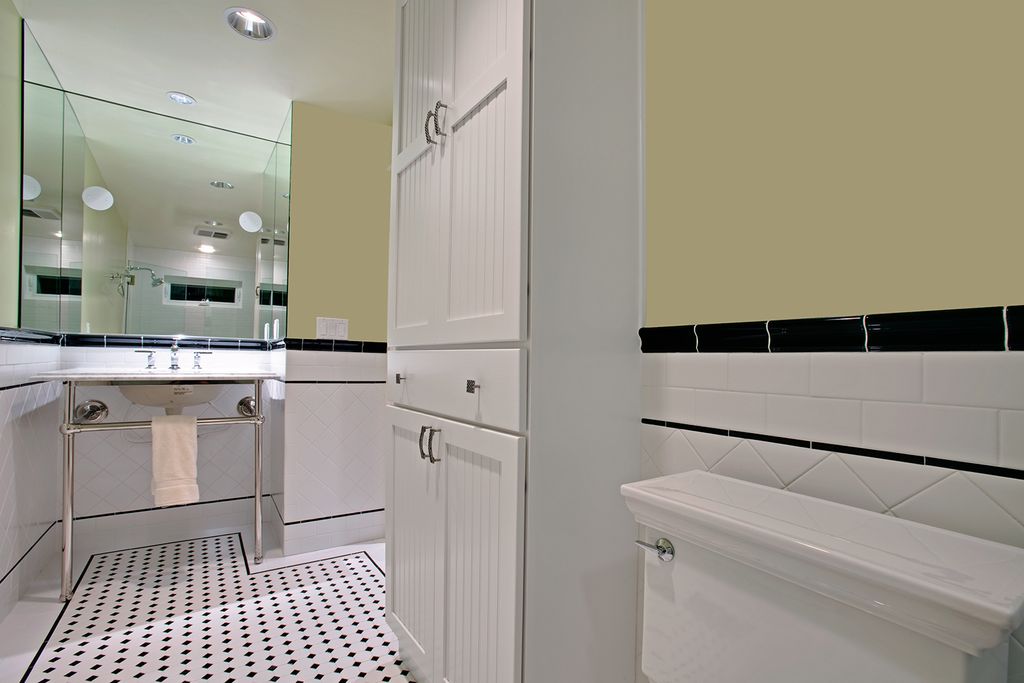 Master Bath Remodel