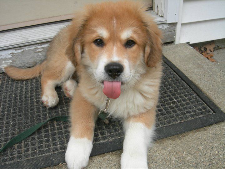 Bailey!
