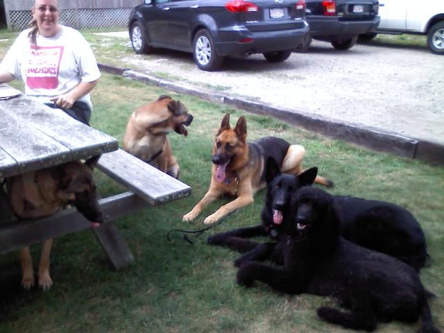 Advanced class: Going to the Daily Brew!
