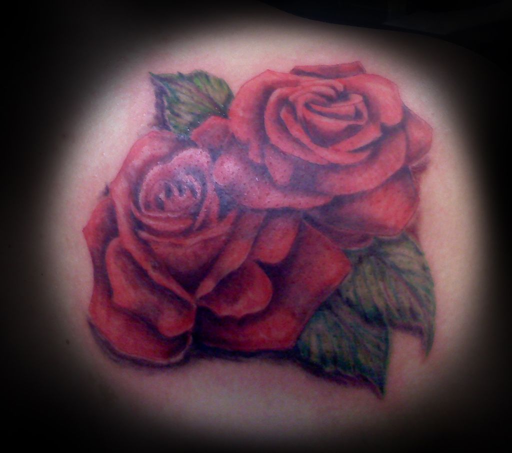 Roses by Kristen Francher