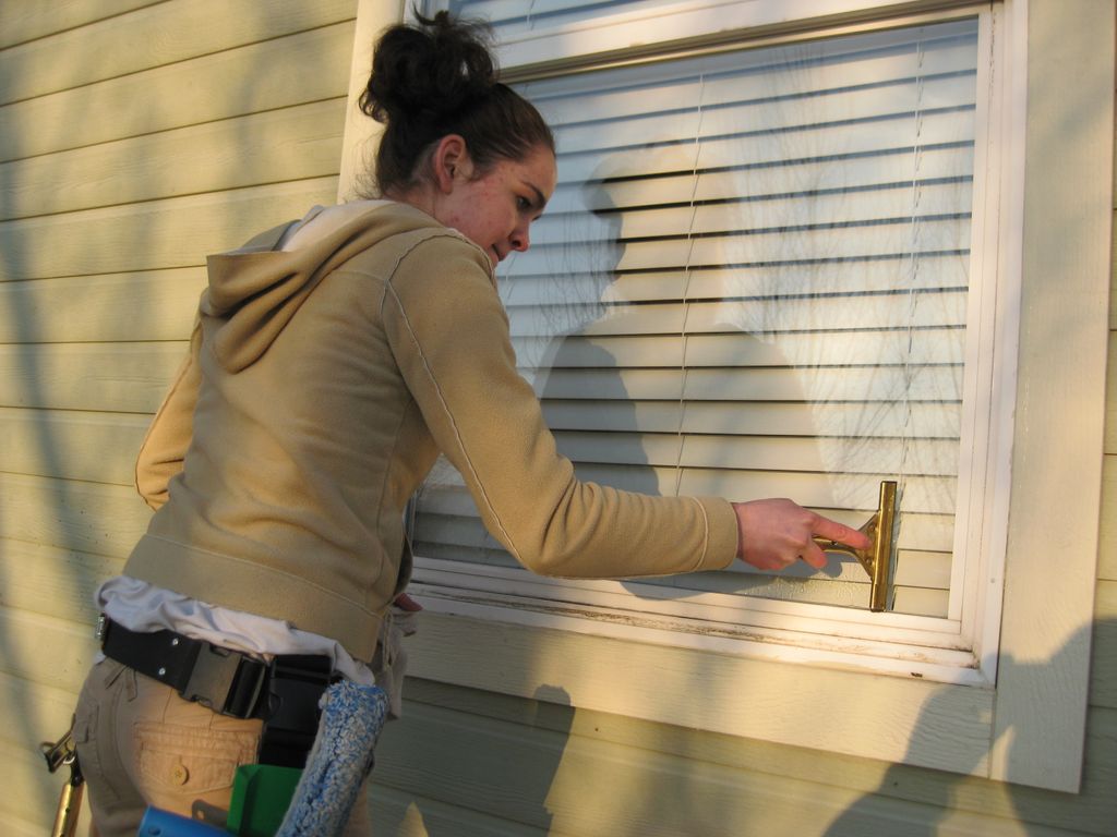 We do our best to make your windows shine, includi